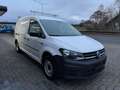 Volkswagen Caddy Nfz Maxi Kasten BMT 2.0 TDI *AHK*REGAL Blanco - thumbnail 4
