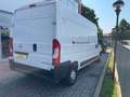 Fiat Ducato MOVANO35 2.2 BlueHDi 140 P.LUNGO T.ALTO Furgone Weiß - thumbnail 5