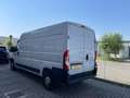 Fiat Ducato MOVANO35 2.2 BlueHDi 140 P.LUNGO T.ALTO Furgone Weiß - thumbnail 3