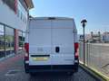 Fiat Ducato MOVANO35 2.2 BlueHDi 140 P.LUNGO T.ALTO Furgone Weiß - thumbnail 4