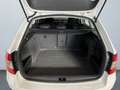 Skoda Octavia Combi Scout 2.0TDI 4x4 DSG Tempomat Blanc - thumbnail 14