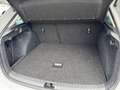 Skoda Scala Selection TSI Grau - thumbnail 13