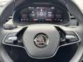 Skoda Scala Selection TSI Grau - thumbnail 18