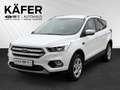 Ford Kuga 2,0 TDCi Trend 88kW / 120Ps 6-Gang Schaltgetriebe Weiß - thumbnail 1