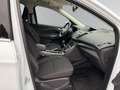 Ford Kuga 2,0 TDCi Trend 88kW / 120Ps 6-Gang Schaltgetriebe Weiß - thumbnail 9