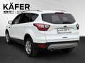 Ford Kuga 2,0 TDCi Trend 88kW / 120Ps 6-Gang Schaltgetriebe Weiß - thumbnail 7