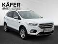 Ford Kuga 2,0 TDCi Trend 88kW / 120Ps 6-Gang Schaltgetriebe Weiß - thumbnail 3