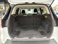 Ford Kuga 2,0 TDCi Trend 88kW / 120Ps 6-Gang Schaltgetriebe Weiß - thumbnail 12