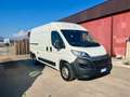 Citroen Jumper Blanc - thumbnail 3