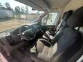 Citroen Jumper Blanc - thumbnail 11