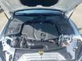 Mercedes-Benz C 220 Sport C 220 D Blanc - thumbnail 17