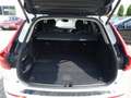 Volvo XC60 T6 AWD Inscription Expr. AHK/W-Paket/ACC Weiß - thumbnail 11