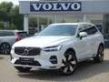 Volvo XC60 T6 AWD Inscription Expr. AHK/W-Paket/ACC Weiß - thumbnail 1