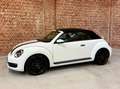 Volkswagen Beetle The Beetle Cabriolet 1.2 TSI (BlueMotion Tech) Blanc - thumbnail 6
