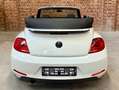 Volkswagen Beetle The Beetle Cabriolet 1.2 TSI (BlueMotion Tech) Blanc - thumbnail 11