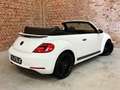 Volkswagen Beetle The Beetle Cabriolet 1.2 TSI (BlueMotion Tech) Blanc - thumbnail 3