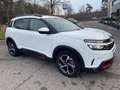 Citroen C5 Aircross C5 Aircross BlueHDi 130 S&S Shine*Autocarro*Neopat Blanc - thumbnail 5
