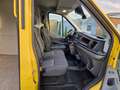 Ford Transit 310 L3 Trend Gelb - thumbnail 15