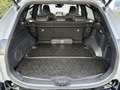Toyota RAV 4 2.5 Plug-in Hybrid AWD Bi-Tone Plus | Trekhaak | M Grijs - thumbnail 32