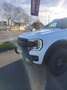 Ford Ranger WILDTRAK Umbau TESSER4x4 Weiß - thumbnail 7