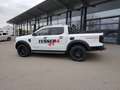 Ford Ranger WILDTRAK Standheizung Umbau HURTER+TESSER4x4 Blanc - thumbnail 11