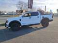 Ford Ranger WILDTRAK Umbau TESSER4x4 Weiß - thumbnail 26