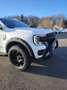 Ford Ranger WILDTRAK Umbau TESSER4x4 Weiß - thumbnail 5