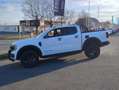 Ford Ranger WILDTRAK Umbau TESSER4x4 Weiß - thumbnail 14