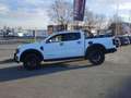 Ford Ranger WILDTRAK Umbau TESSER4x4 Weiß - thumbnail 13
