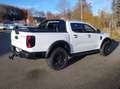 Ford Ranger WILDTRAK Umbau TESSER4x4 Weiß - thumbnail 2