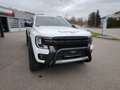 Ford Ranger WILDTRAK Standheizung Umbau HURTER+TESSER4x4 Blanc - thumbnail 3