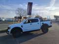 Ford Ranger WILDTRAK Umbau TESSER4x4 Weiß - thumbnail 15