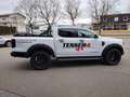 Ford Ranger WILDTRAK Standheizung Umbau HURTER+TESSER4x4 Blanc - thumbnail 7