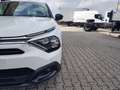 Citroen C4 C4 1.5 bluehdi Shine s&s 130cv eat8 Weiß - thumbnail 19