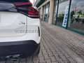 Citroen C4 C4 1.5 bluehdi Shine s&s 130cv eat8 Weiß - thumbnail 20