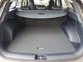 Hyundai NEXO Wasserstoff PRIME INKL. 800€ TANKKARTE Grau - thumbnail 20