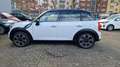MINI Cooper SD Countryman 2.0 NAVI+XENON Weiß - thumbnail 3