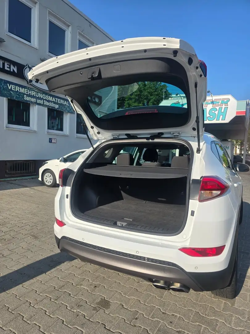 Hyundai TUCSON Tucson 1.6 Turbo 4WD DCT Premium Weiß - 2