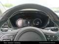 Kia e-Niro /Gold/ UVO/E-Motor - thumbnail 18