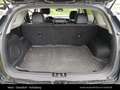 Kia e-Niro /Gold/ UVO/E-Motor - thumbnail 14