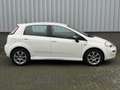 Fiat Punto Evo 0.9 TwinAir Young |Airco|CruiseControl|5 Deurs|NAP Bianco - thumbnail 5