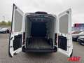 Ford Transit Kasten L3H2 Trend, 2.0 TDCI, Euro 6 Weiß - thumbnail 10