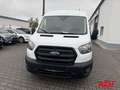 Ford Transit Kasten L3H2 Trend, 2.0 TDCI, Euro 6 Weiß - thumbnail 12