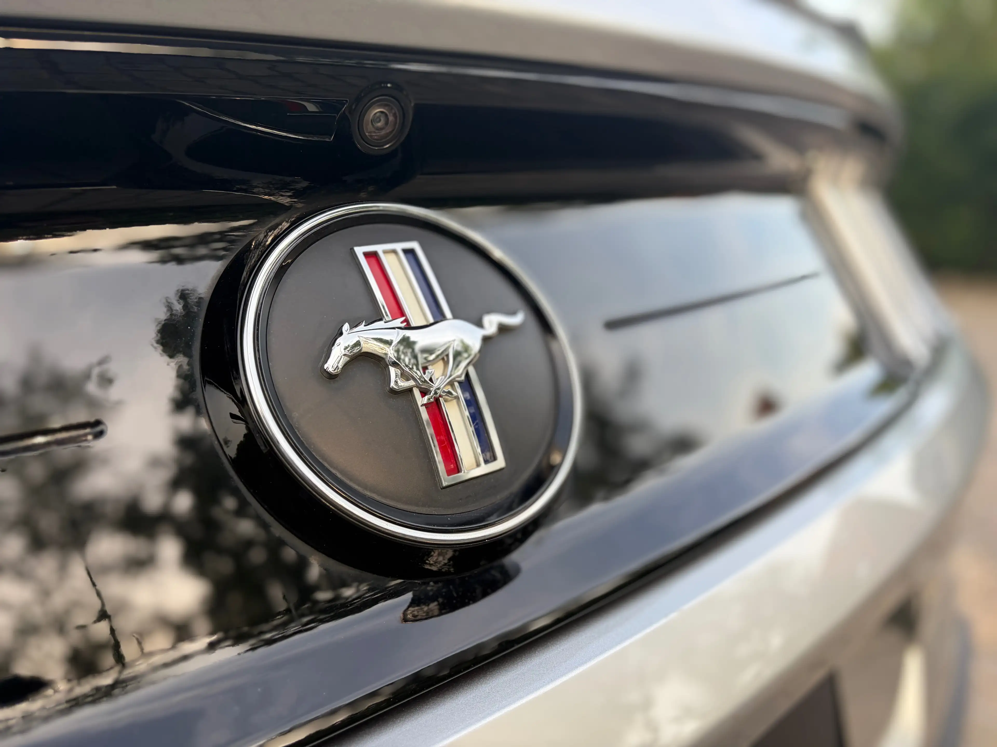 Ford Mustang 2.3 EcoBoost Fastback Fifty Five Years  ### 29000 km ### — photo 9