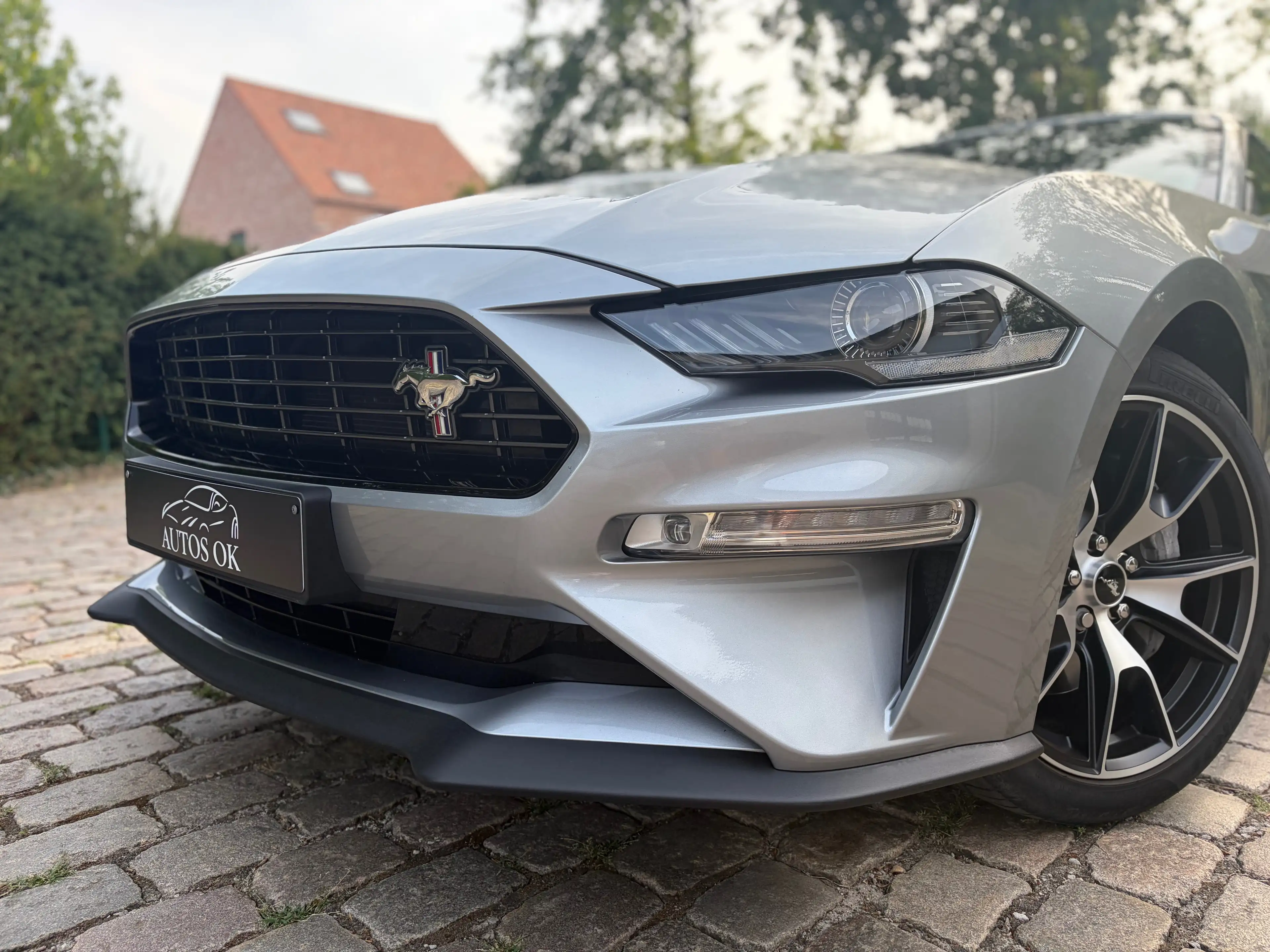 Ford Mustang 2.3 EcoBoost Fastback Fifty Five Years  ### 29000 km ### — photo 13