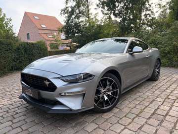 2.3 EcoBoost Fastback Fifty Five Years  ### 29000 km ###