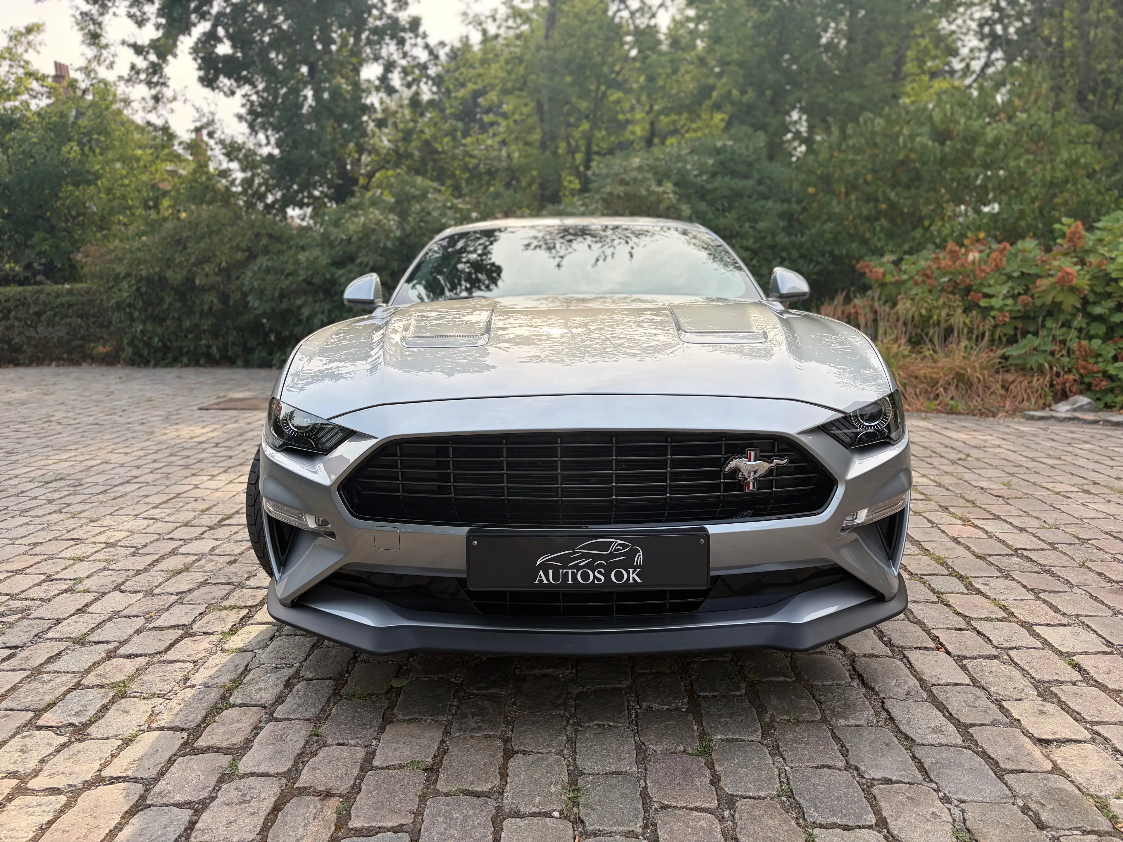 Ford Mustang 2.3 EcoBoost Fastback Fifty Five Years  ### 29000 km ### — photo 2