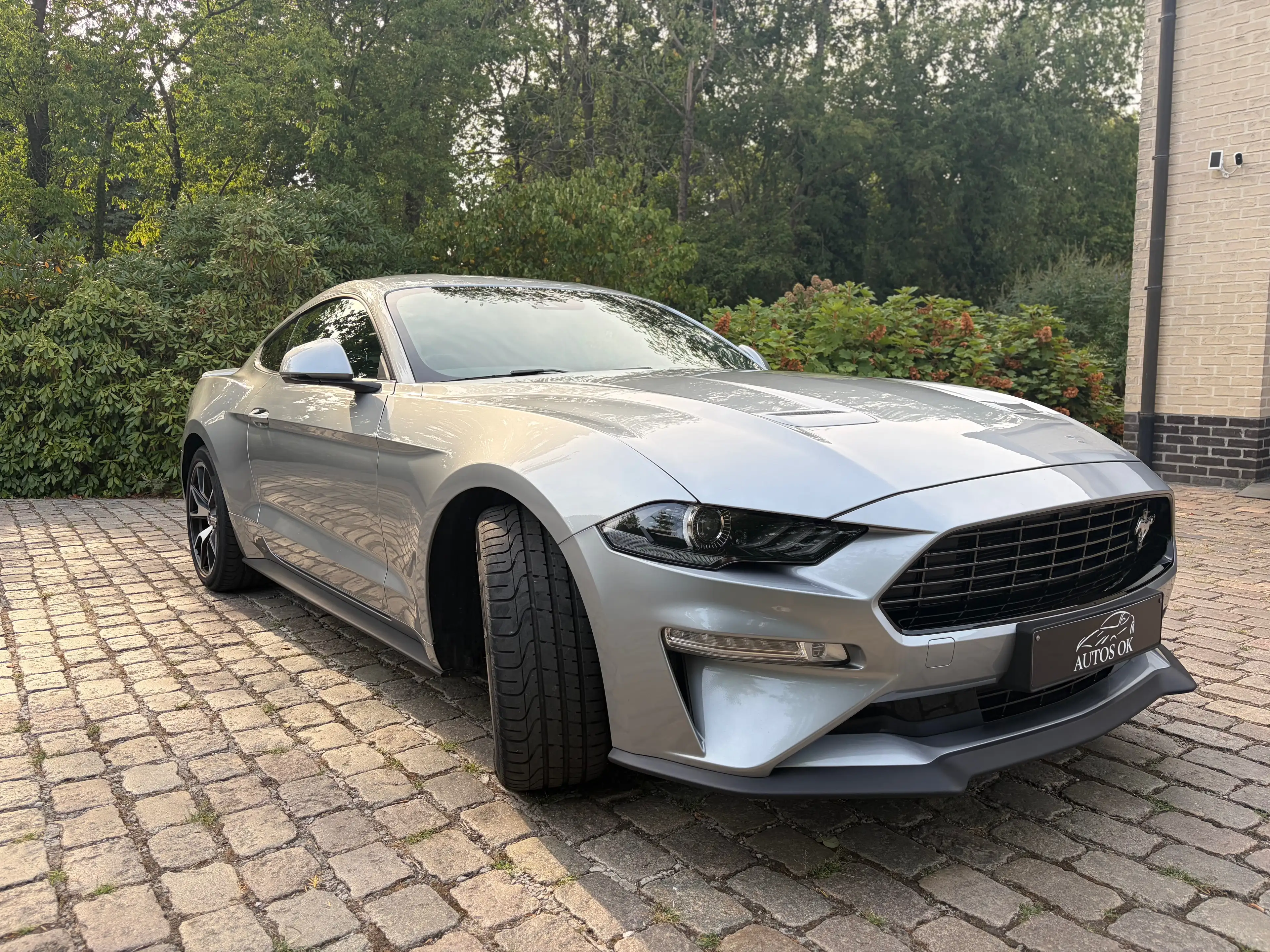Ford Mustang 2.3 EcoBoost Fastback Fifty Five Years  ### 29000 km ### — photo 3