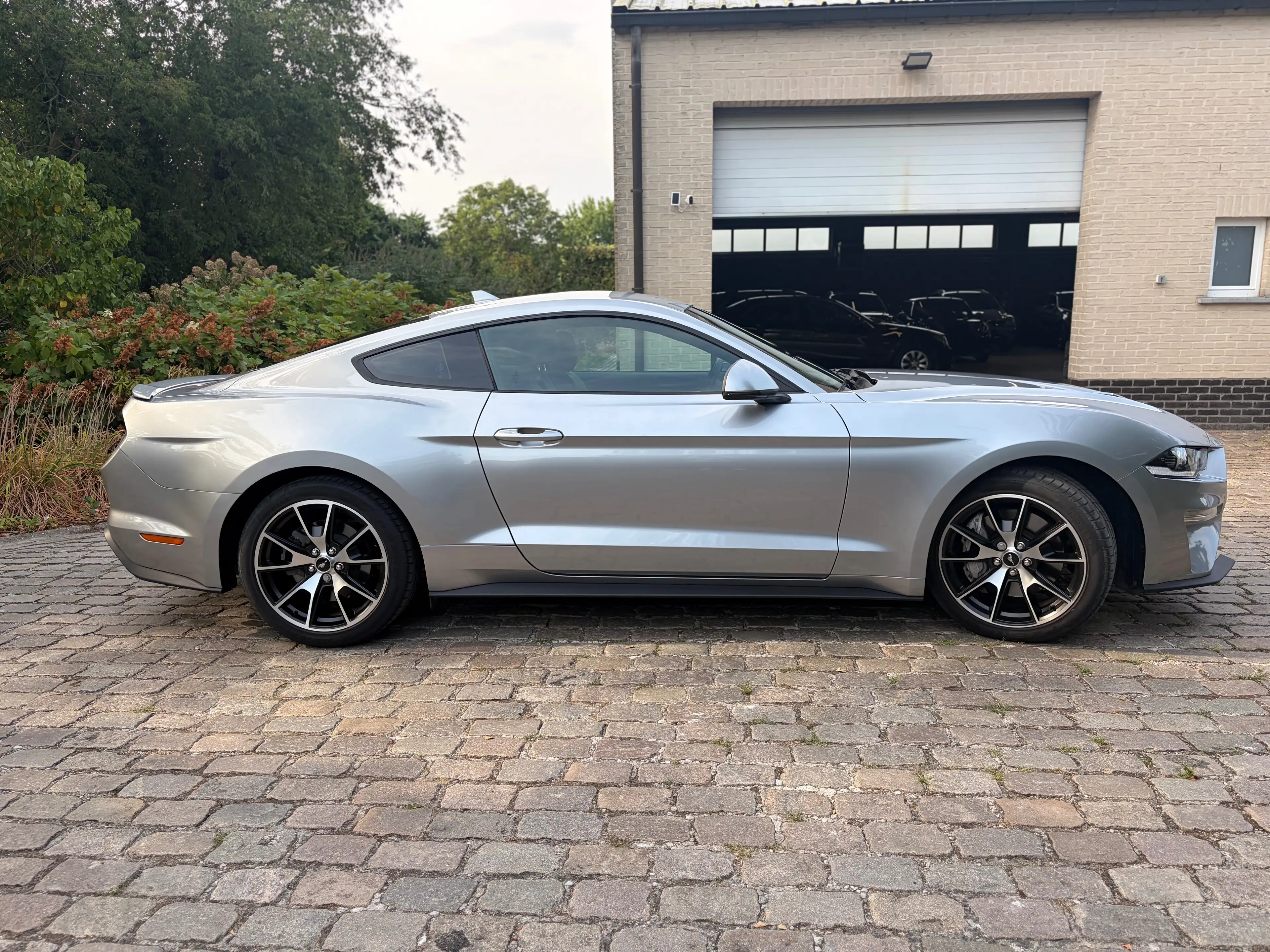Ford Mustang 2.3 EcoBoost Fastback Fifty Five Years  ### 29000 km ### — photo 4