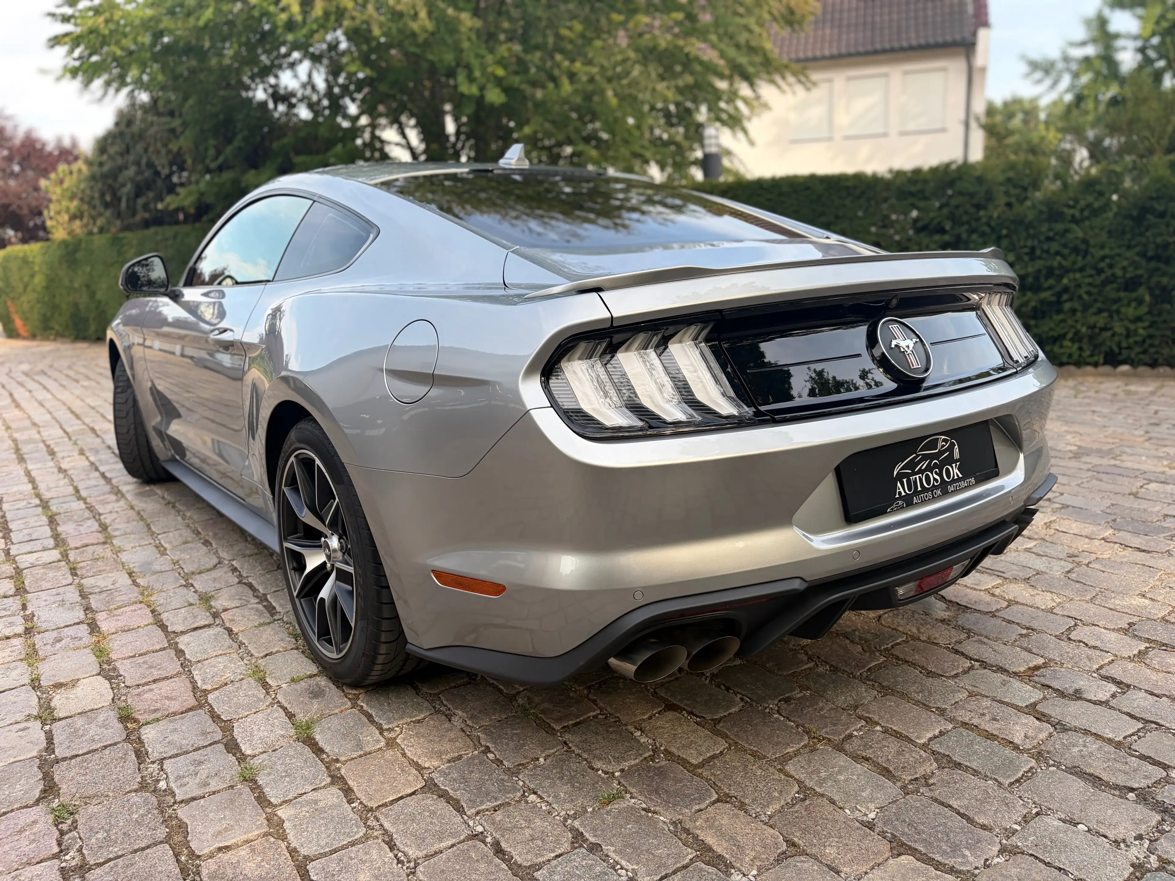 Ford Mustang 2.3 EcoBoost Fastback Fifty Five Years  ### 29000 km ### — photo 7